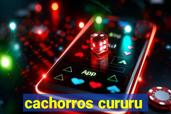 cachorros cururu